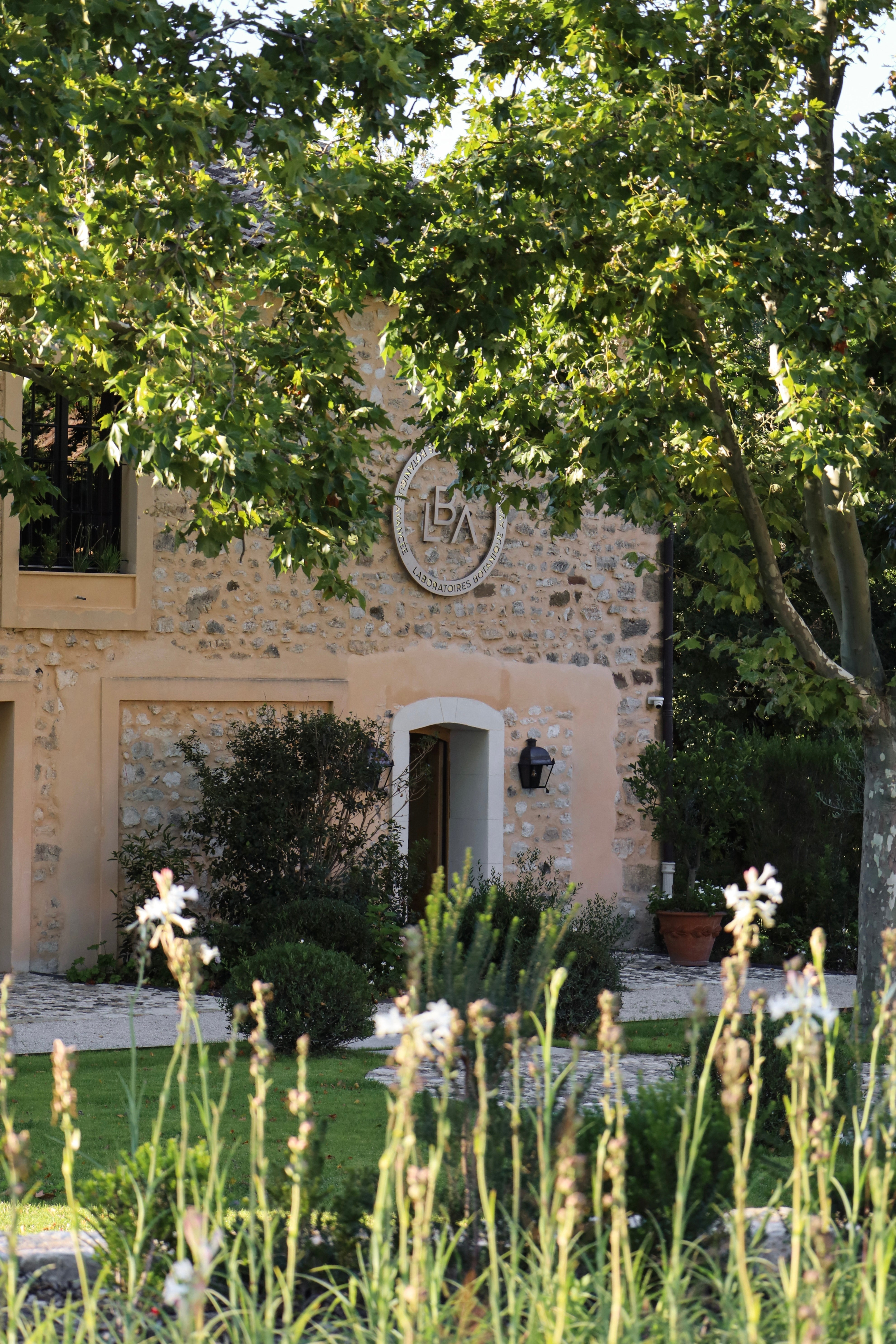 The volcanic soil of Baulieu