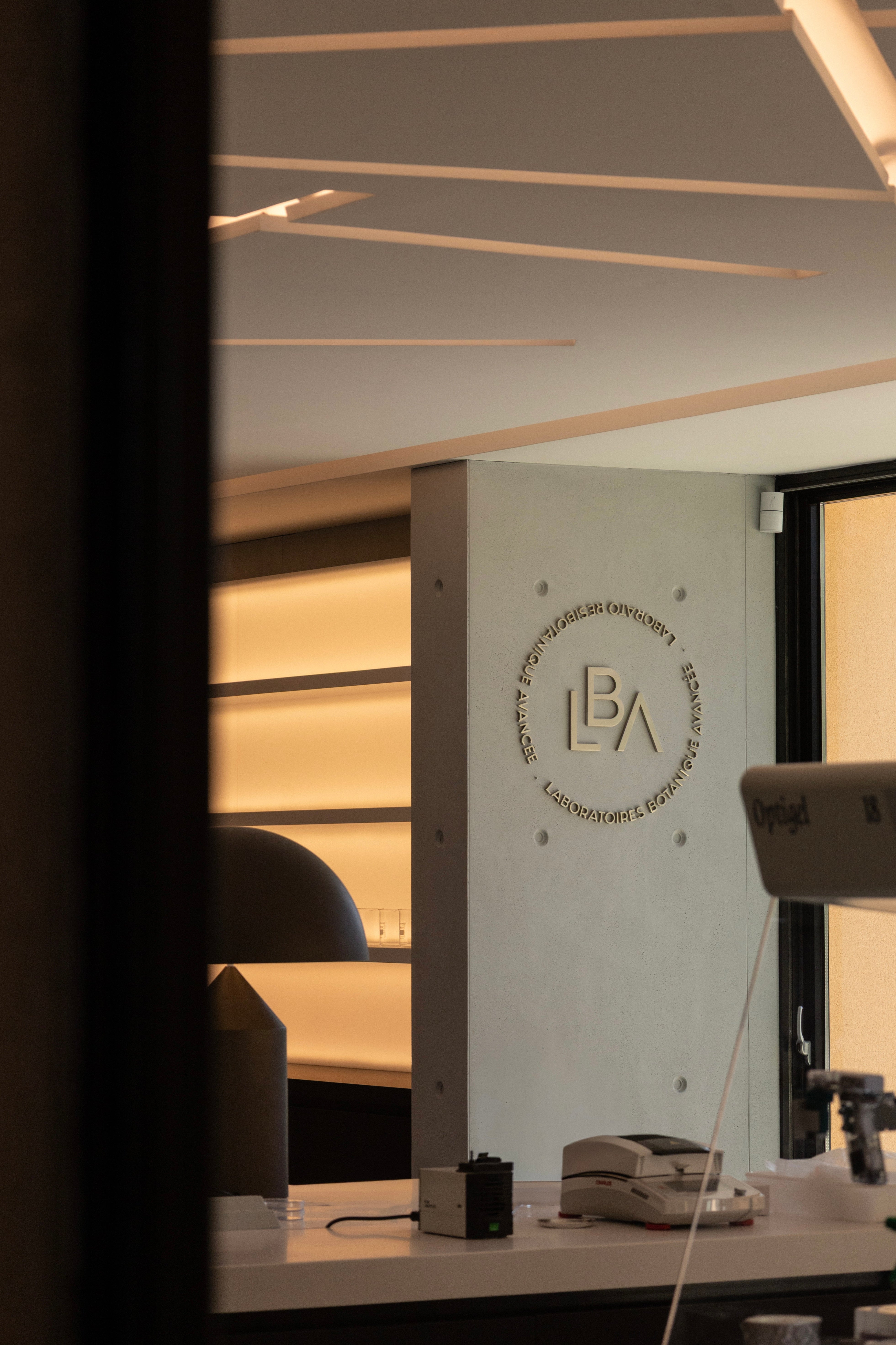 Botanique avancée : quand la science révèle l'intelligence du végétal