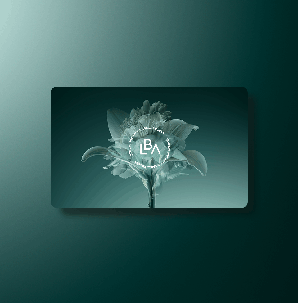 Carte cadeau LBA