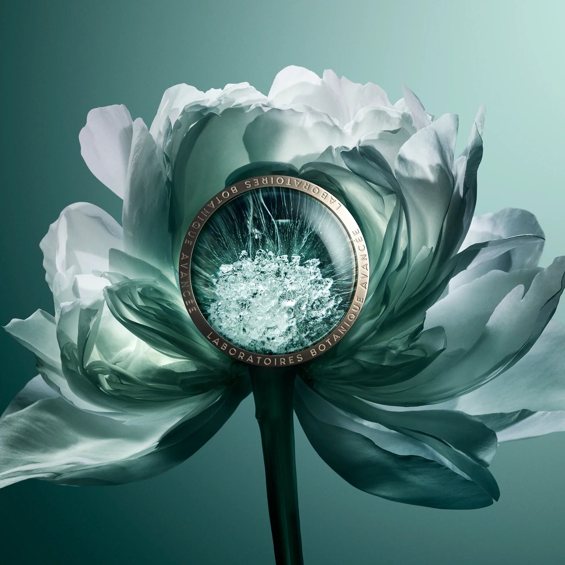 Comment régénérer la peau naturellement